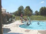 Family reunion at George s house swimming pool